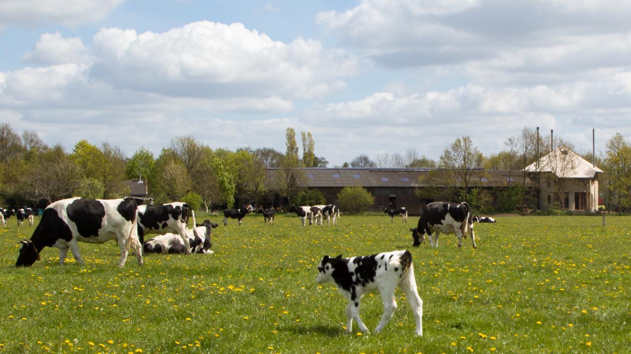 Biotel Achterhoek Lievelde Luaran gambar
